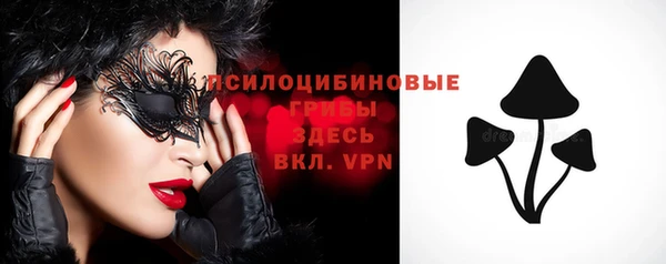стафф Абаза