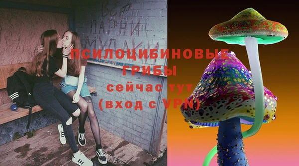 тгк Абдулино